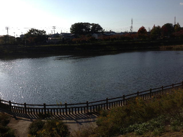 徳重駅前の池